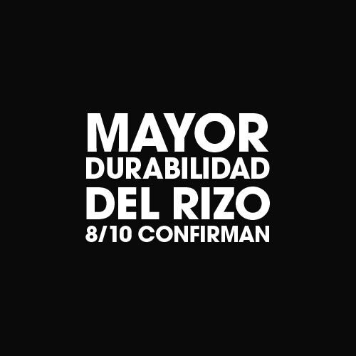 mayor durabilidad del rizo