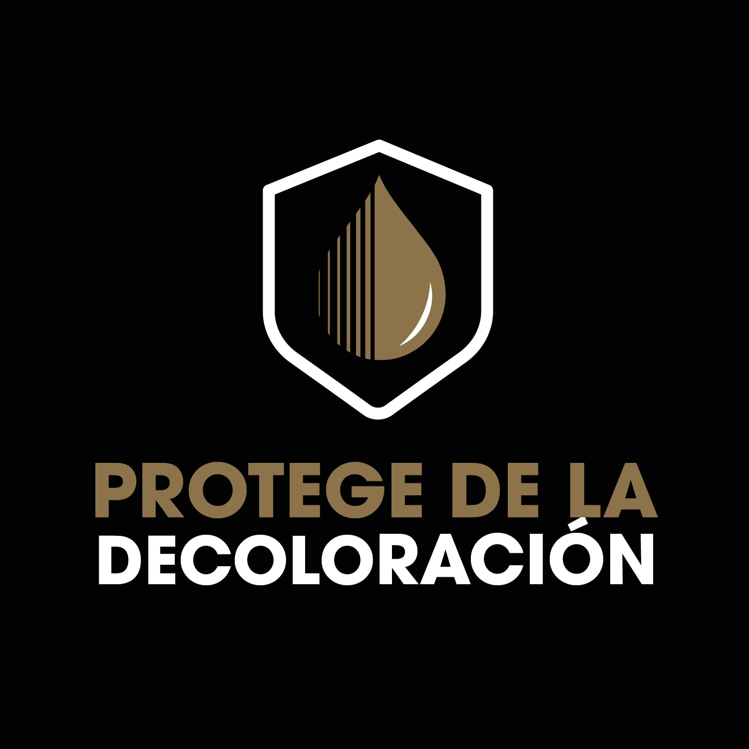 Protege tu decoloración, especialmente diseñado pensando en cabello teñido